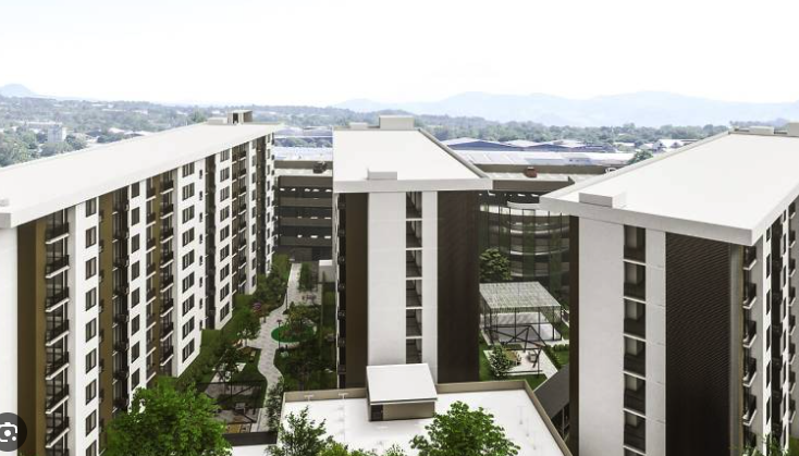 Main project photo